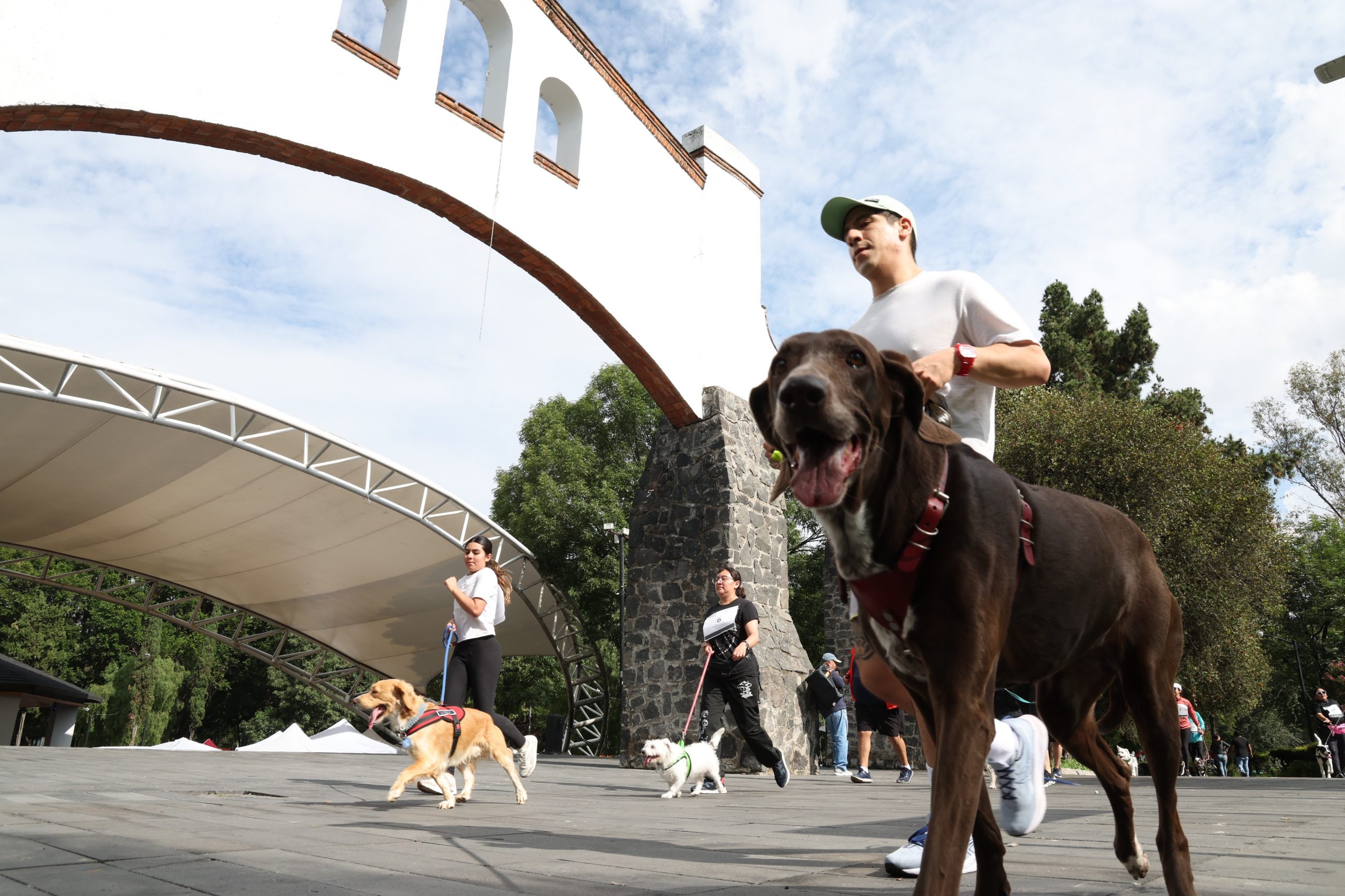 Carrera Amar es Adoptar, en la Alameda Sur, Alcaldía Coyoacán. Fotografía: Benjamín Flores.