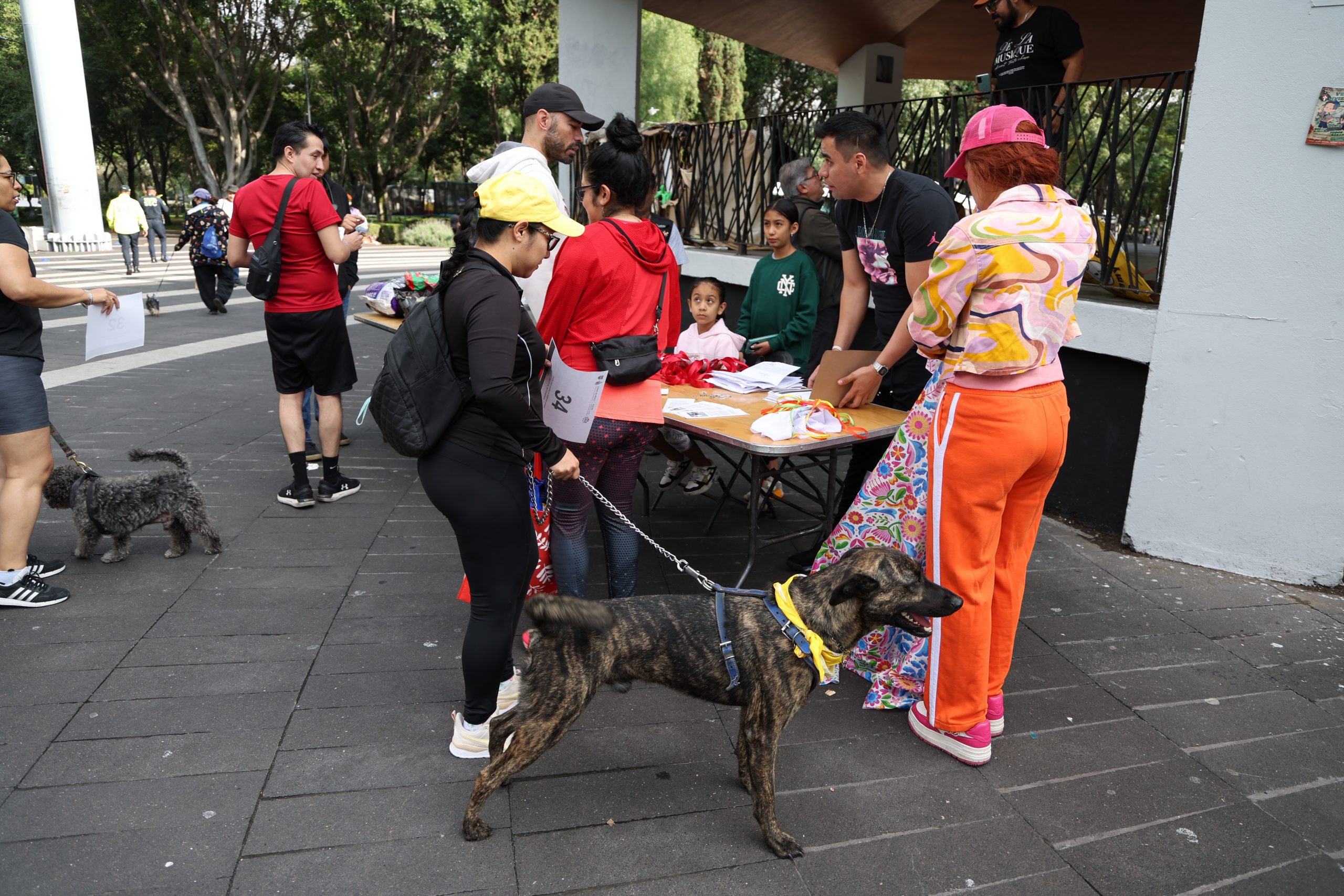 Carrera Amar es Adoptar, en la Alameda Sur, Alcaldía Coyoacán. Fotografía: Benjamín Flores.