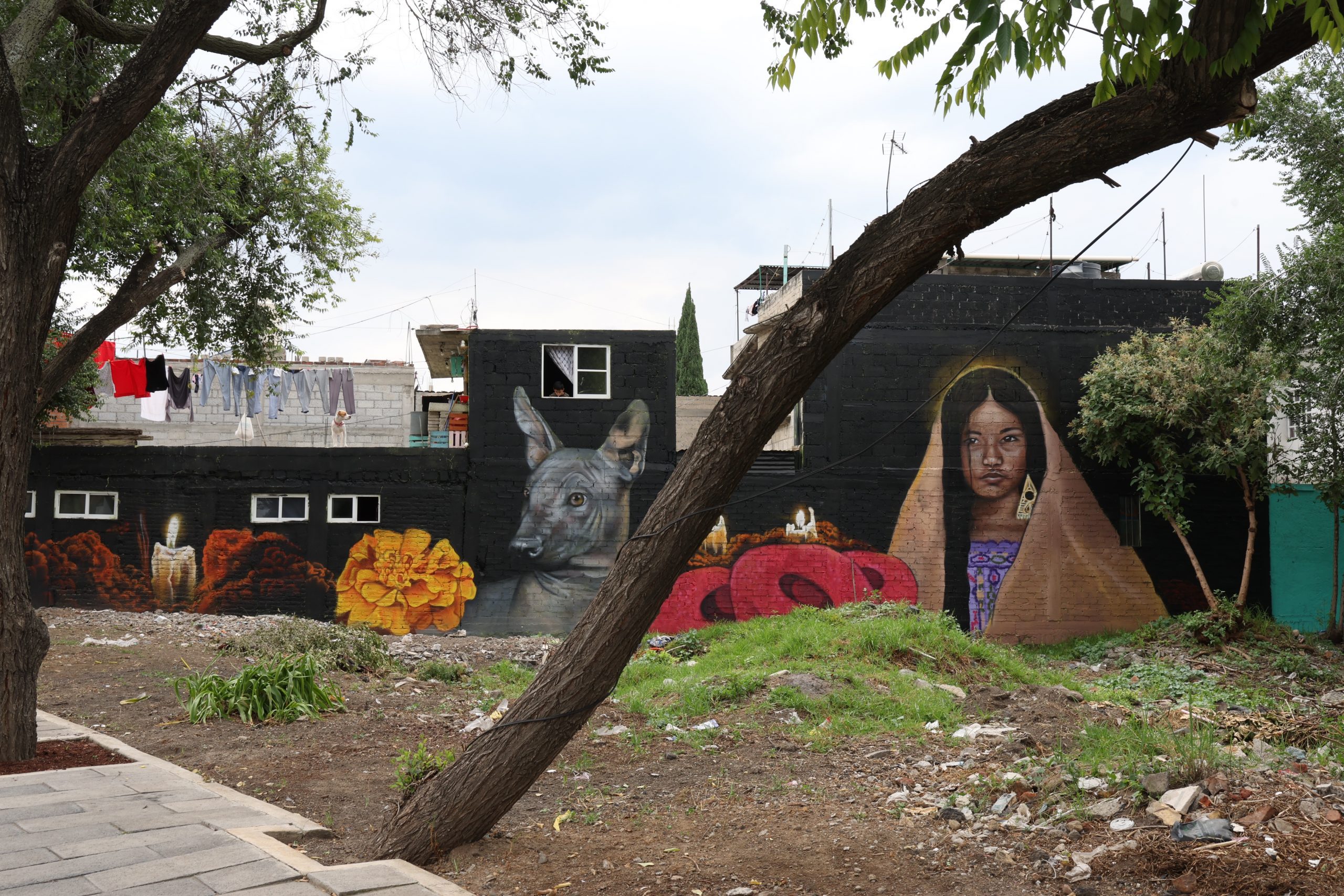 Recorrido de Clara Brugada, Jefa de Gobierno de la Ciudad de México por el río y barrancas de la colonia La Araña en la Alcaldía Álvaro Obregón. Fotografía: La Isabel.
