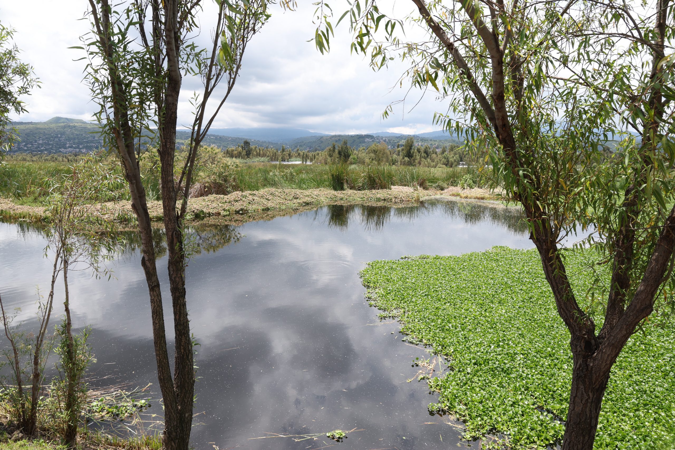 Recorrido de la Jefa de Gobierno, Clara Brugada, por diferentes puntos de San Gregorio Atlapulco, alcaldía Xochimilco. Fotografía: La Isabel.