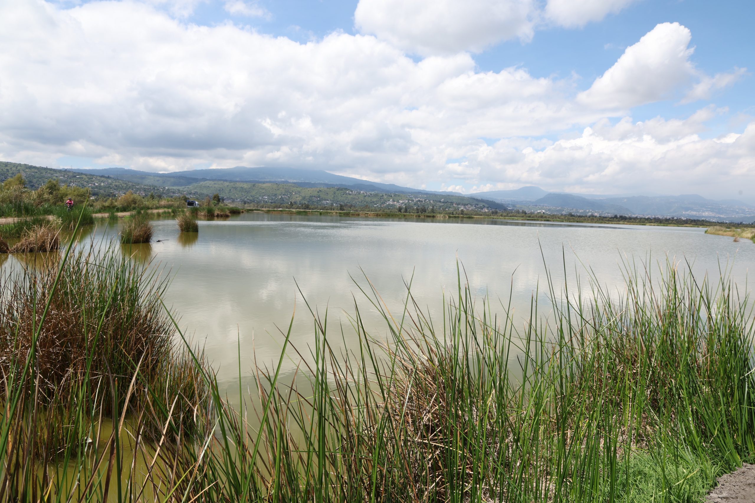 Recorrido de la Jefa de Gobierno, Clara Brugada, por diferentes puntos de San Gregorio Atlapulco, alcaldía Xochimilco. Fotografía: La Isabel.