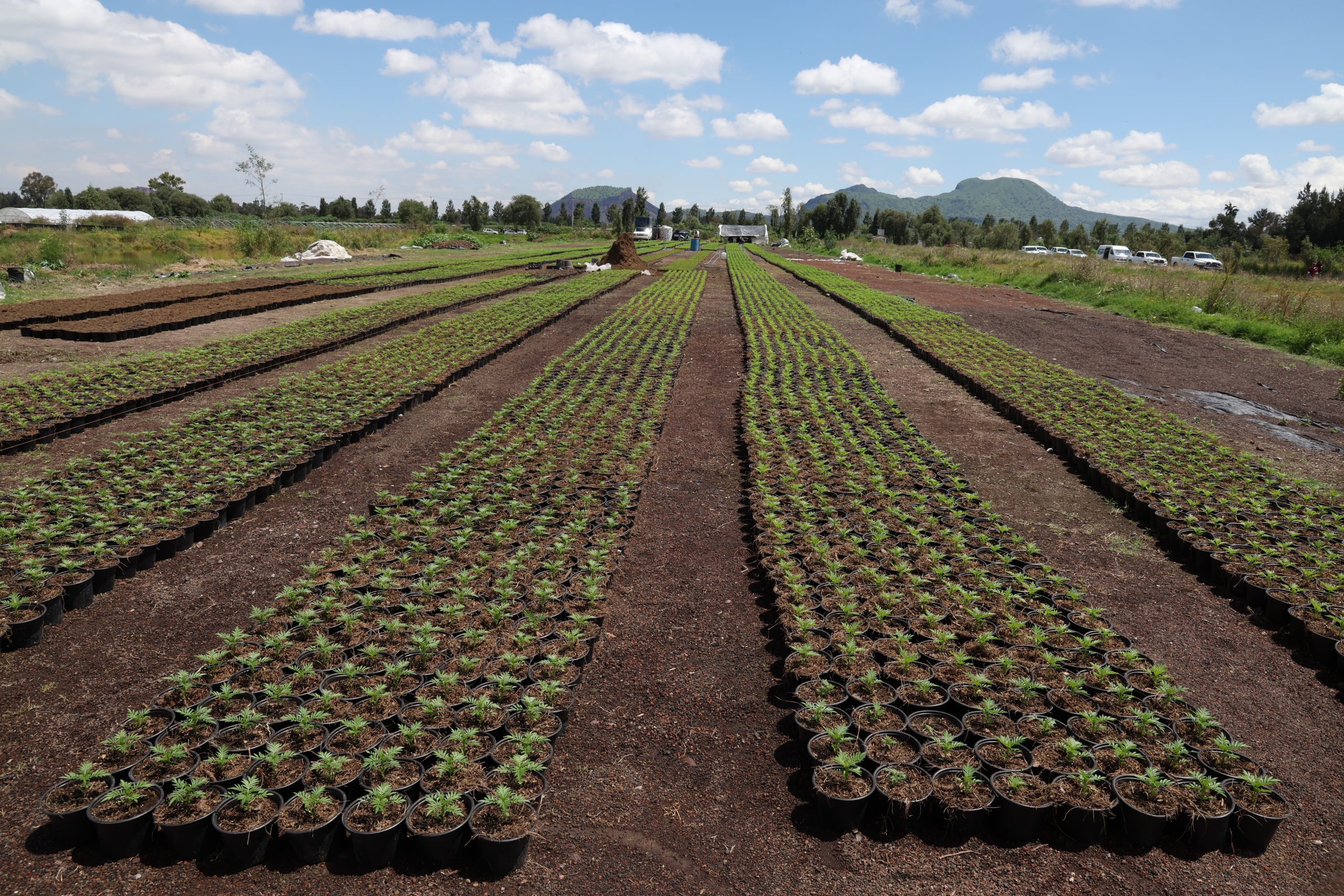 Recorrido de la Jefa de Gobierno, Clara Brugada, por diferentes puntos de San Gregorio Atlapulco, alcaldía Xochimilco. Fotografía: La Isabel.