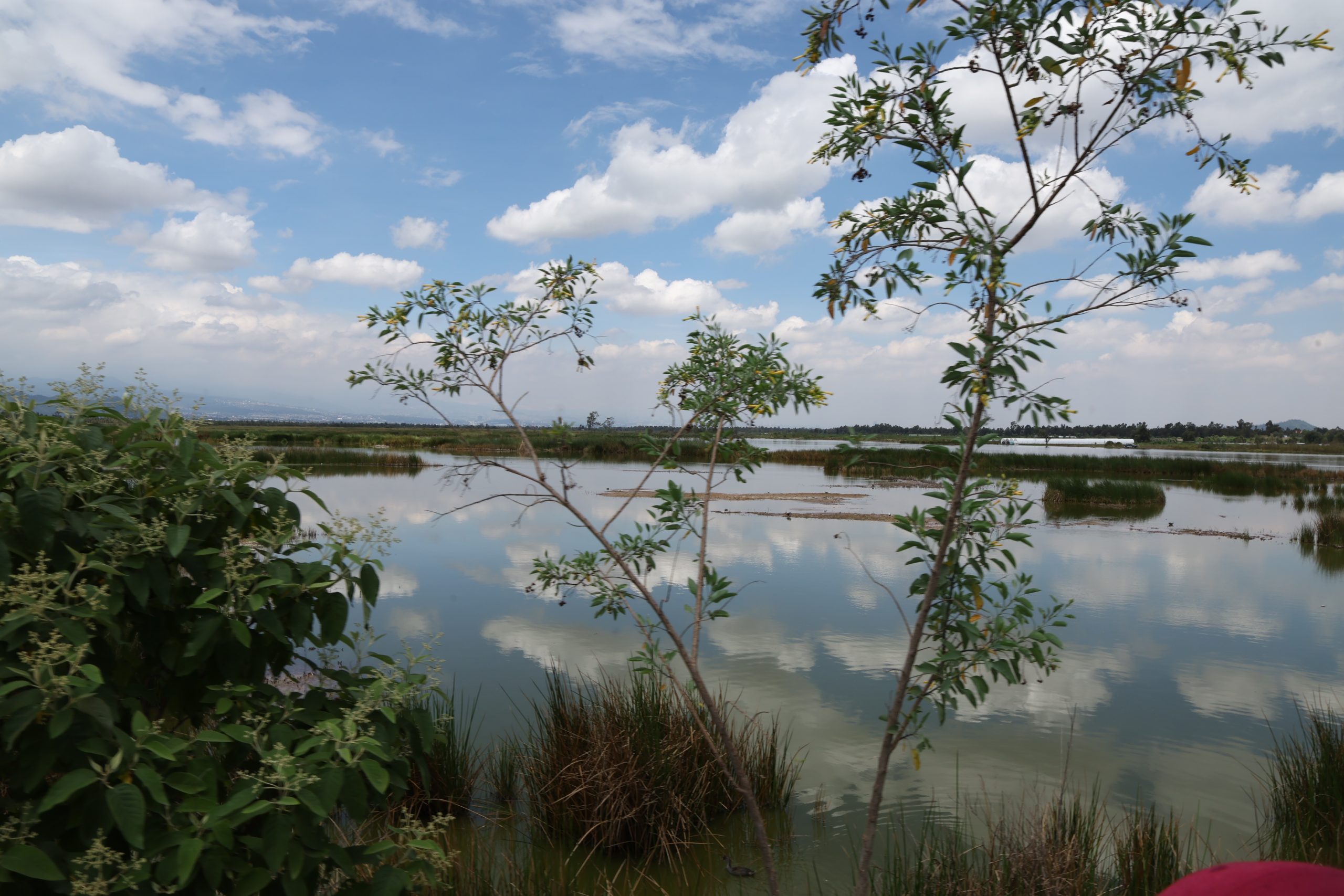 Recorrido de la Jefa de Gobierno, Clara Brugada, por diferentes puntos de San Gregorio Atlapulco, alcaldía Xochimilco. Fotografía: La Isabel.