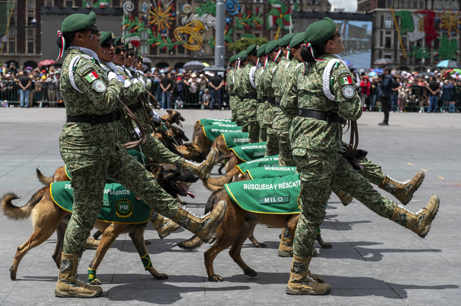 Cuauhtémoc, Ciudad de México. 16 de septiembre 2025. La presidenta constitucional de los Estados Unidos Mexicanos, la Doctora Claudia Sheinbaum Pardo  preside el Desfile Cívico Militar. Foto: /Presidencia