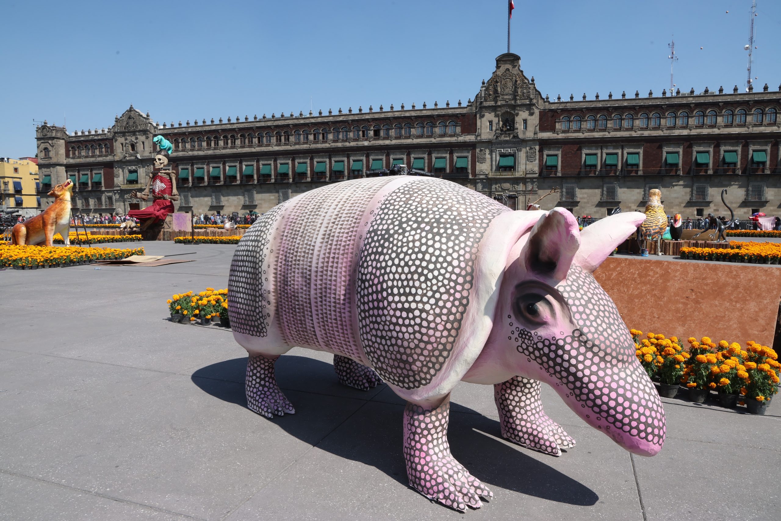 Preparativos de la Ofrenda Monumental en el Zócalo de la Ciudad de México. Fotografía: La Isabel.