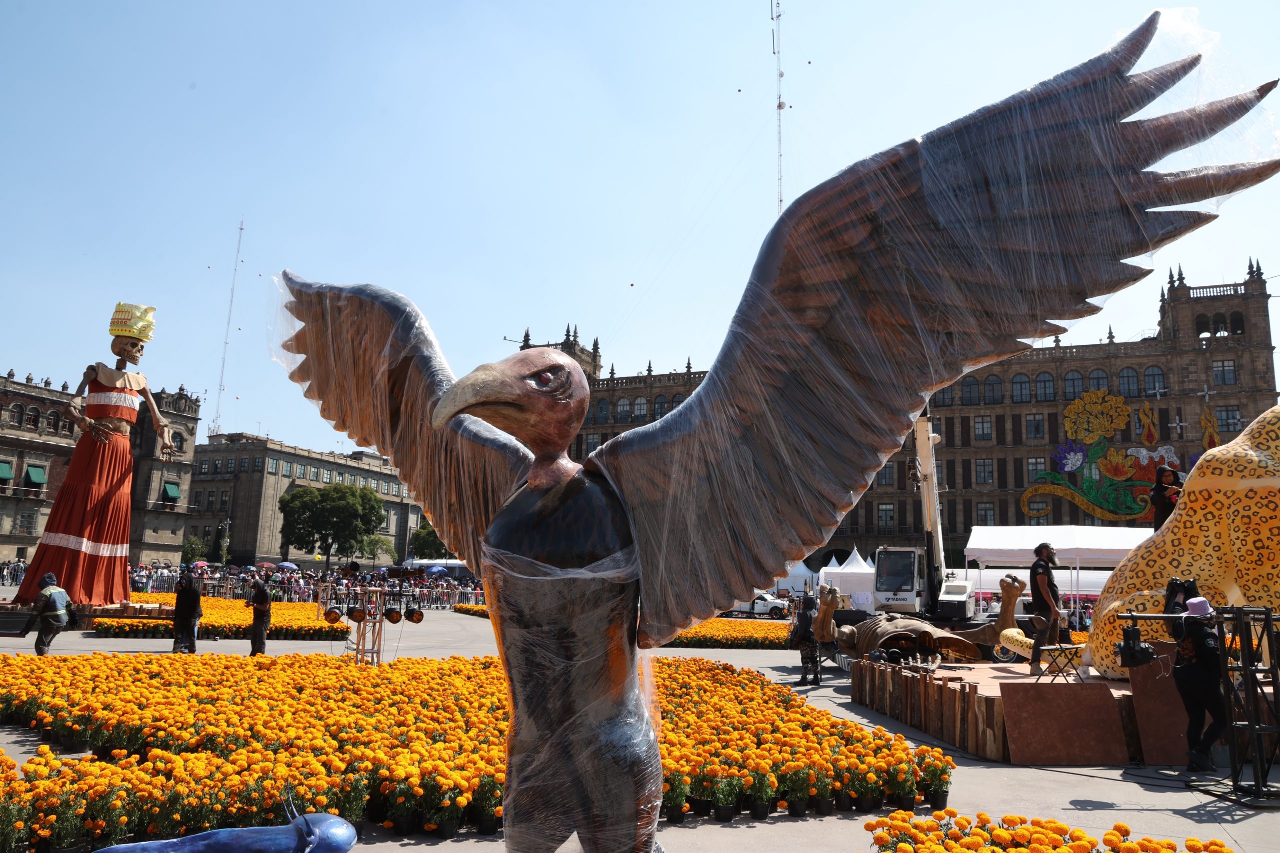 Preparativos de la Ofrenda Monumental en el Zócalo de la Ciudad de México. Fotografía: La Isabel.