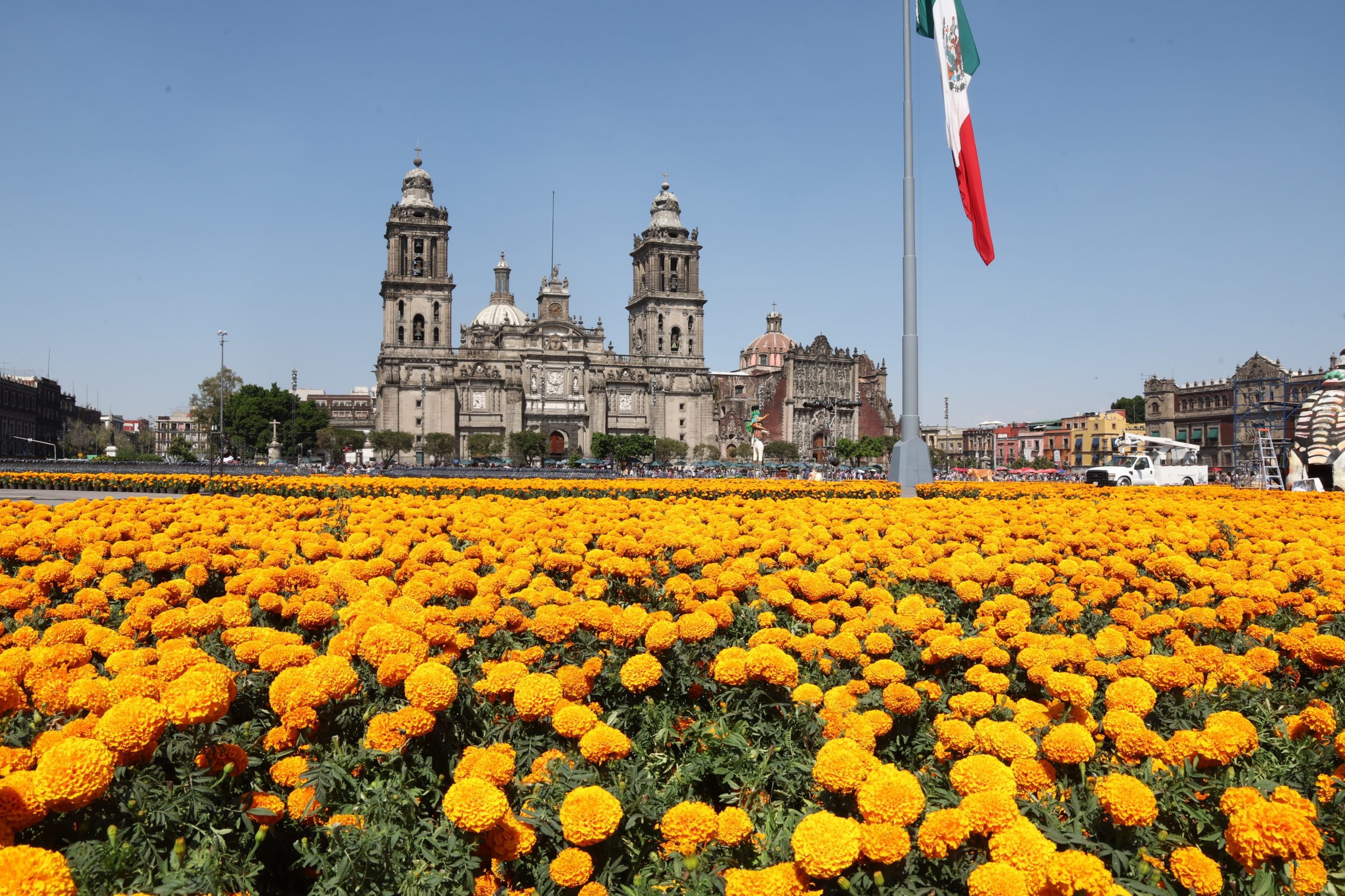Preparativos de la Ofrenda Monumental en el Zócalo de la Ciudad de México. Fotografía: La Isabel.
