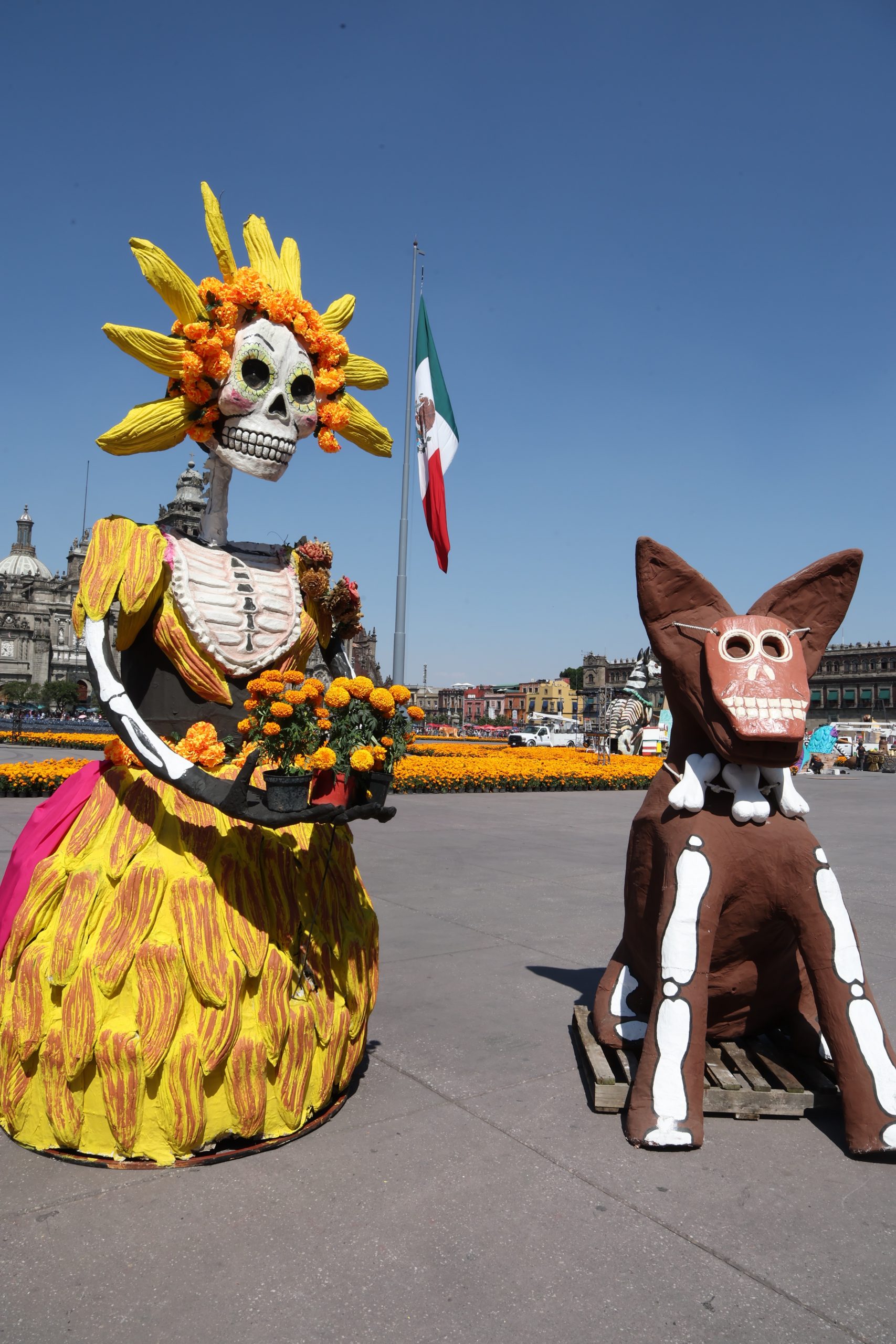 Preparativos de la Ofrenda Monumental en el Zócalo de la Ciudad de México. Fotografía: La Isabel.