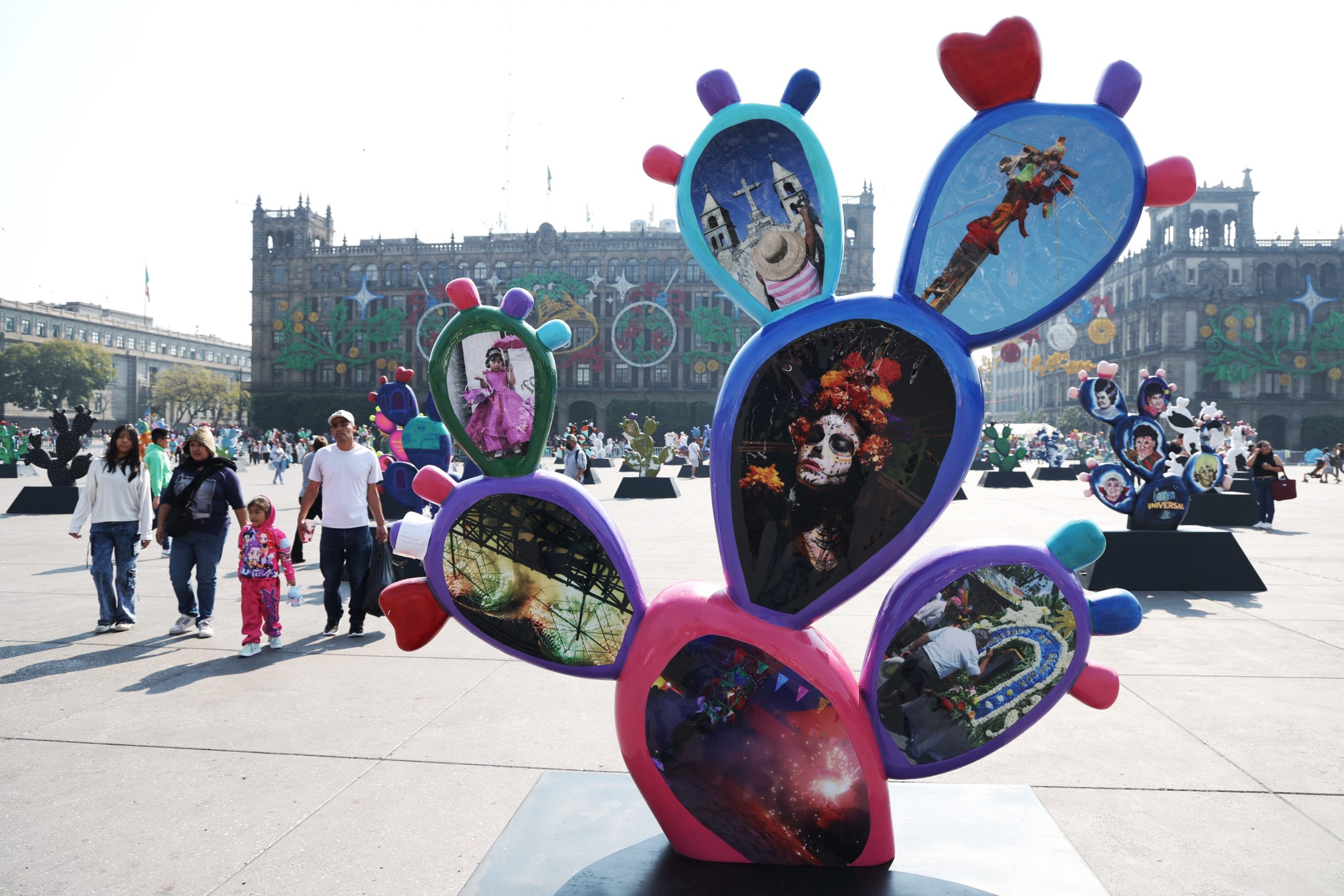 Nopalera en el Corazón. Fotografía: La Isabel.