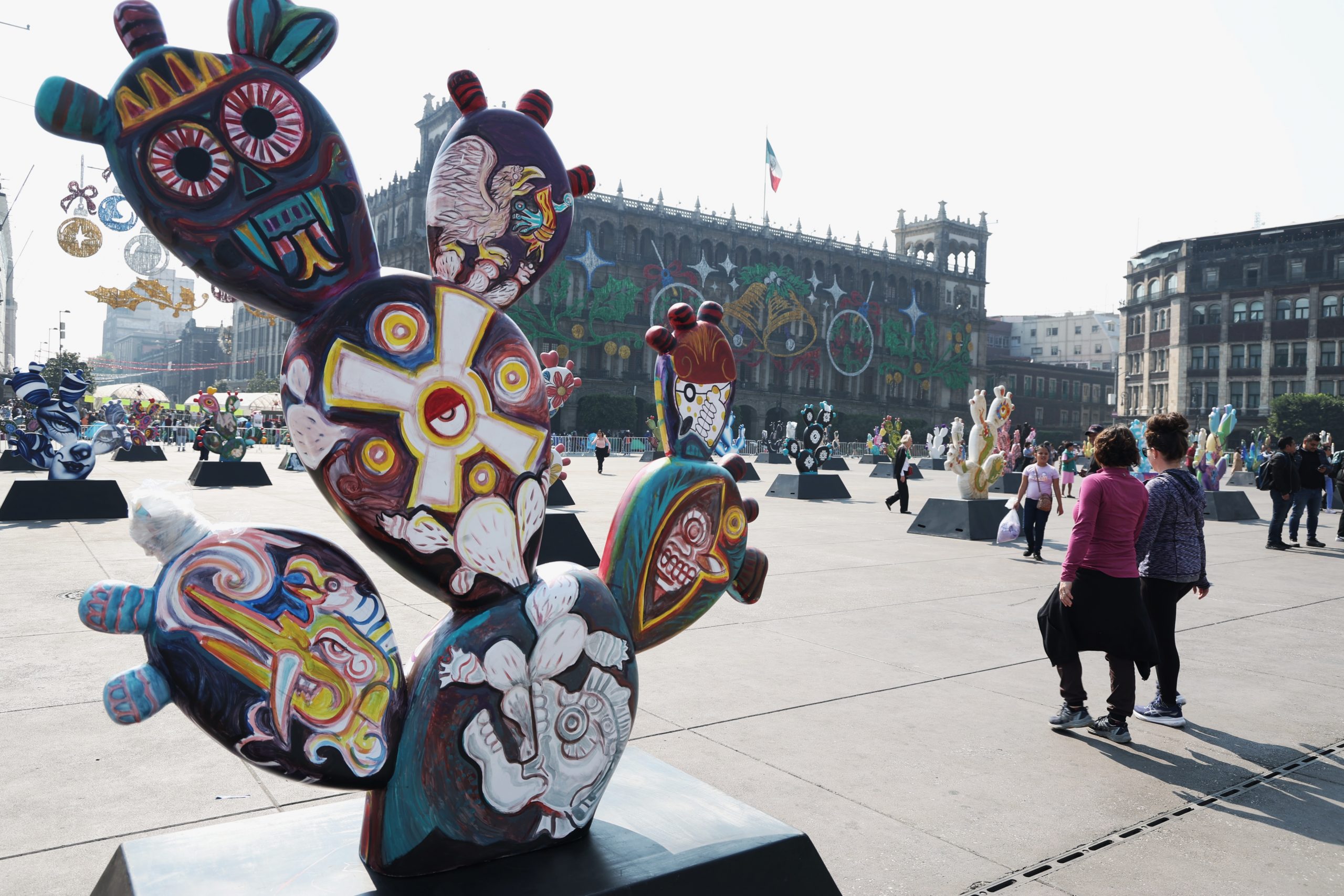 Nopalera en el Corazón. Fotografía: La Isabel.