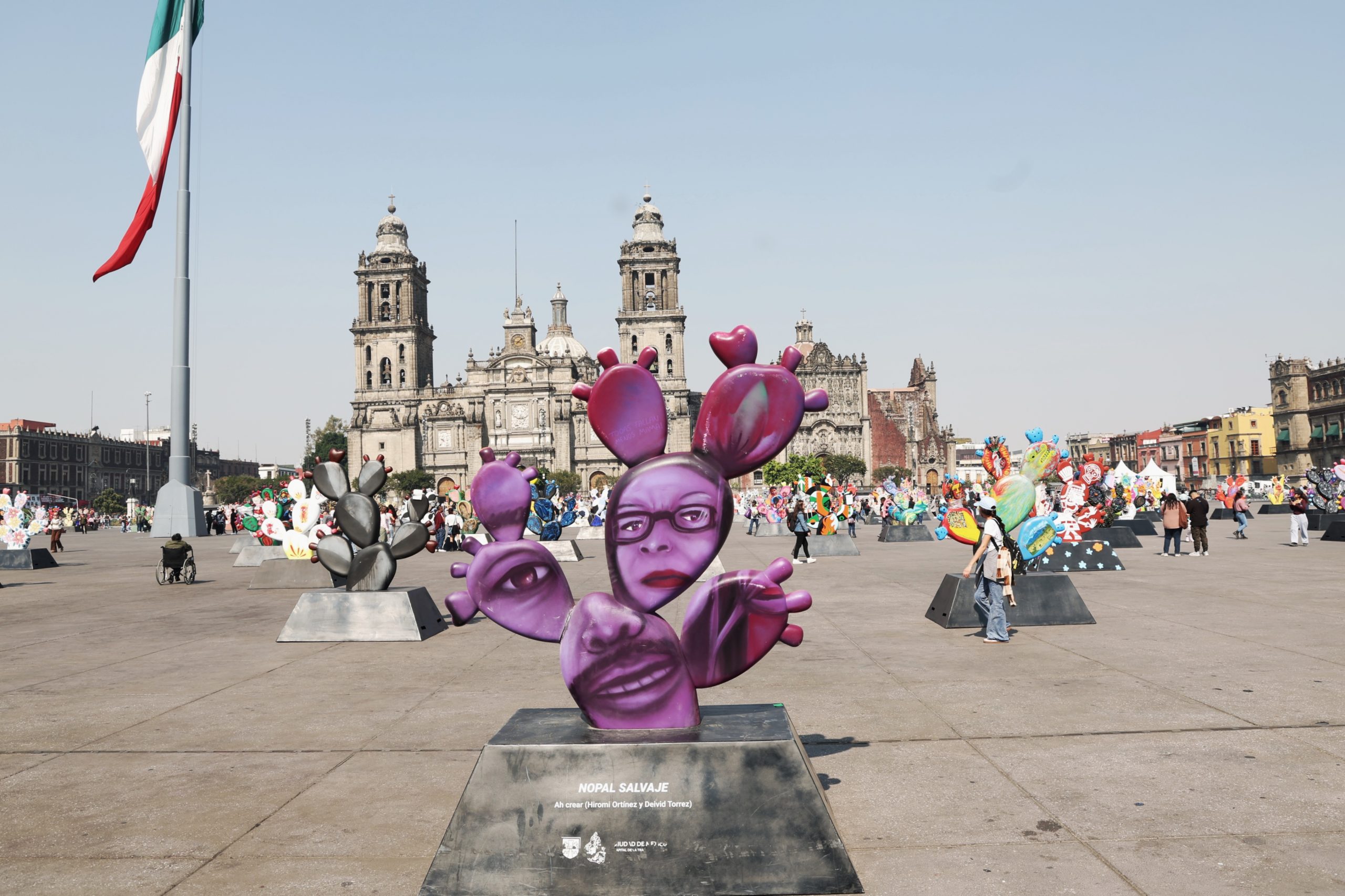 Nopalera en el Corazón. Fotografía: La Isabel.