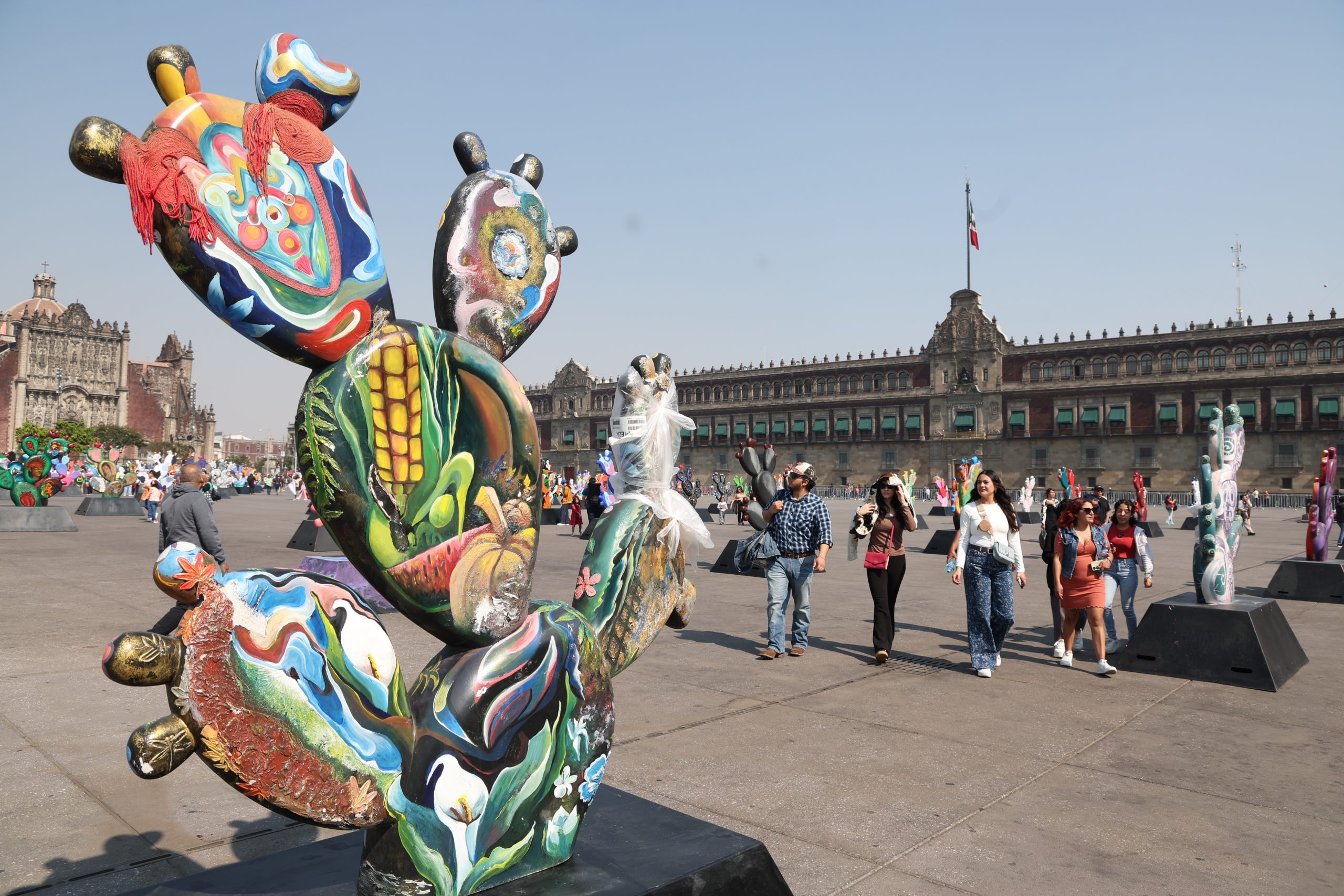 Nopalera en el Corazón. Fotografía: La Isabel.