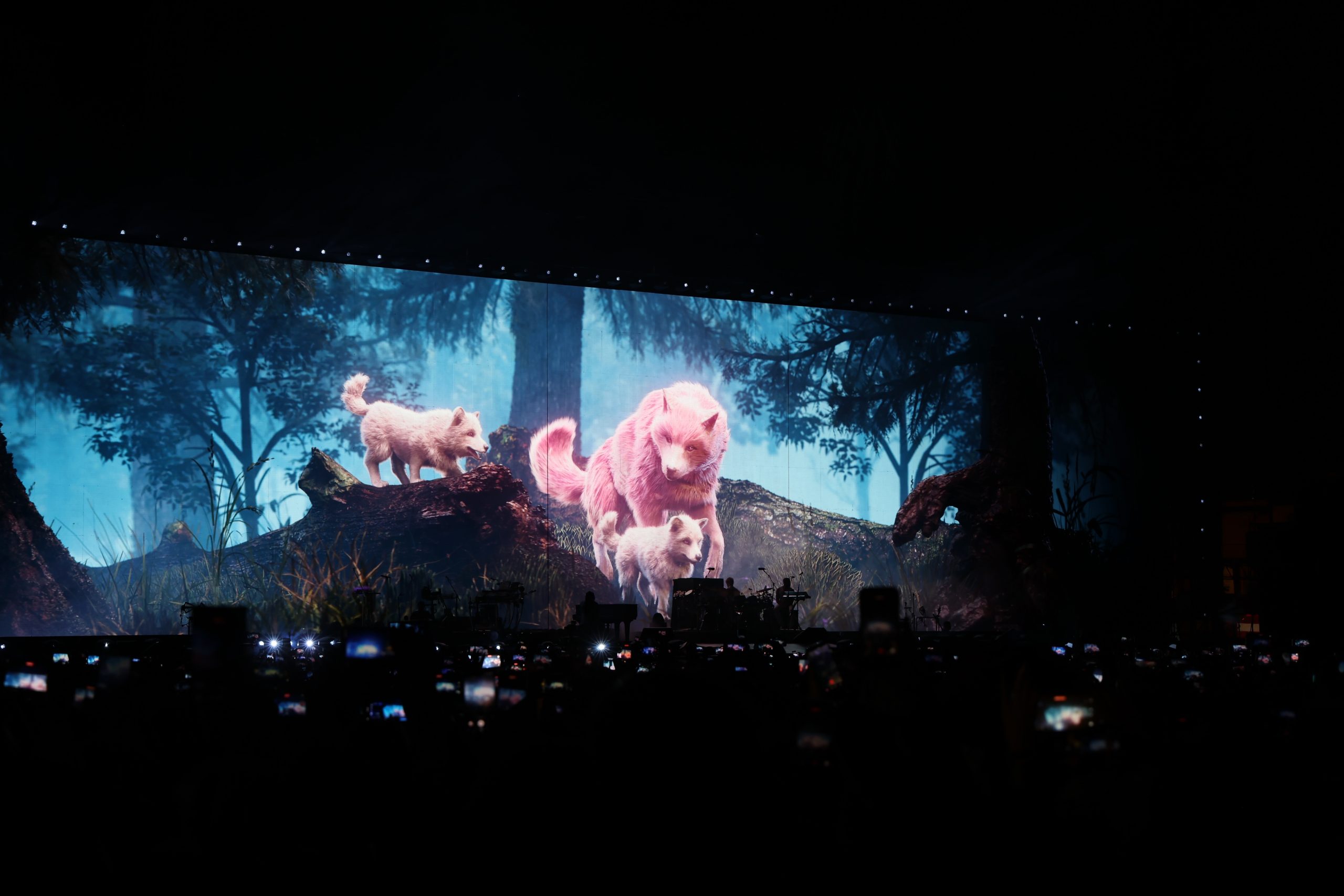 Concierto de Shakira en el Zócalo de la CDMX. Fotografía: La Isabel.